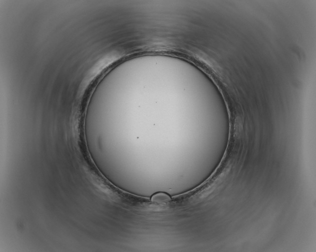 X0000113371410200910061051