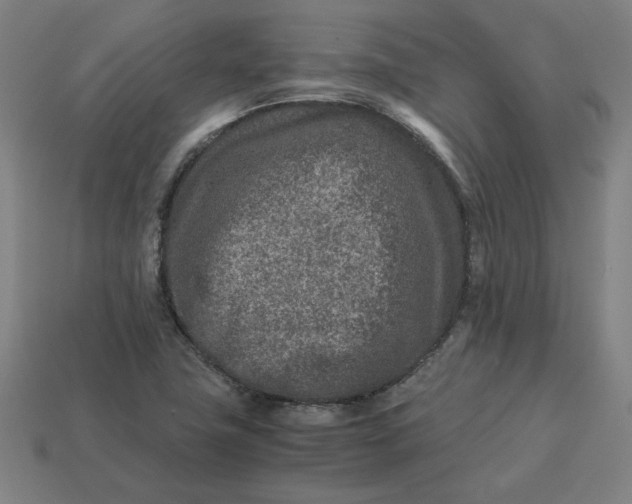 X0000113371411200910061051