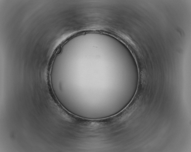 X0000113371412200910061051