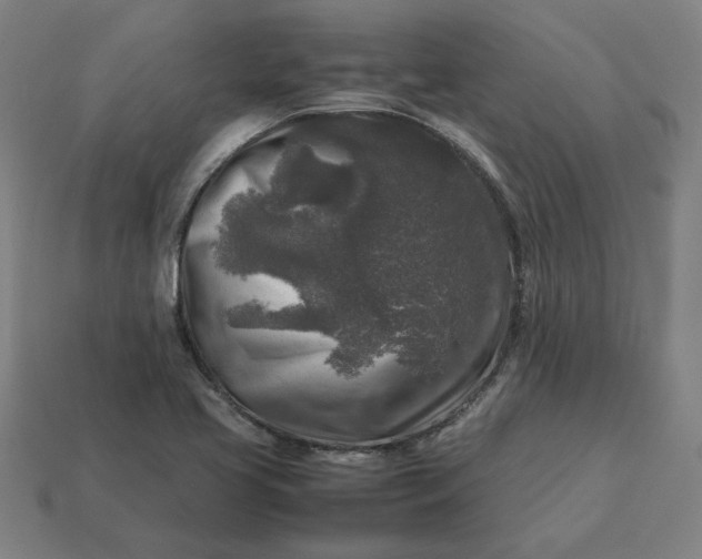 X0000113371413200910061051