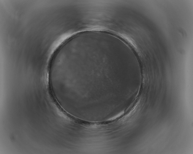 X0000113371414200910061051