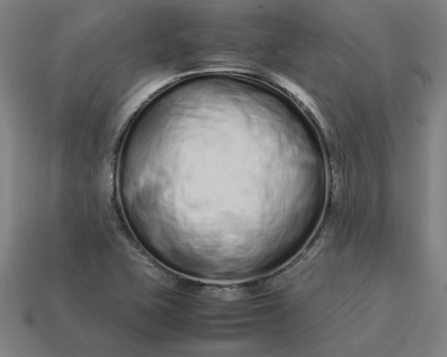 X0000113371415200910061051