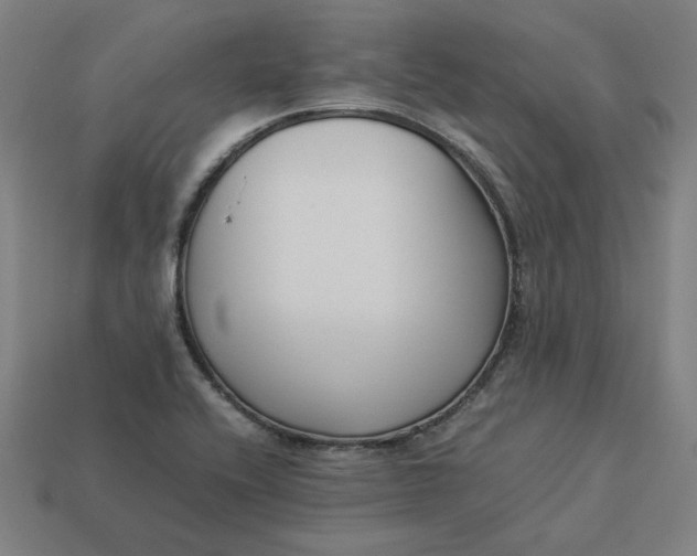 X0000113371416200910061051