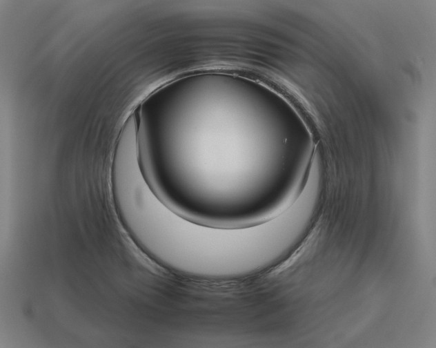 X0000113371417200910061051