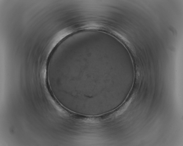 X0000113371418200910061051