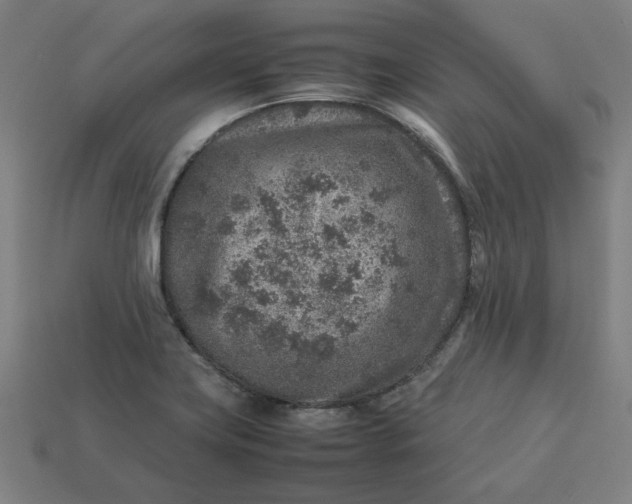 X0000113371419200910061051