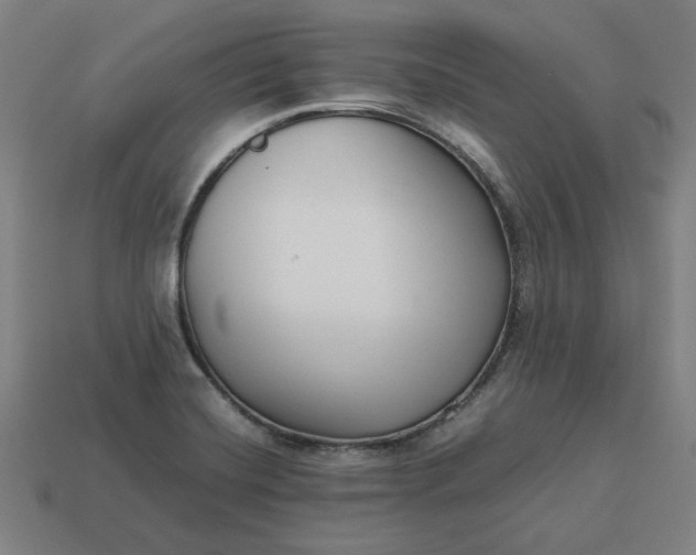 X0000113371420200910061051