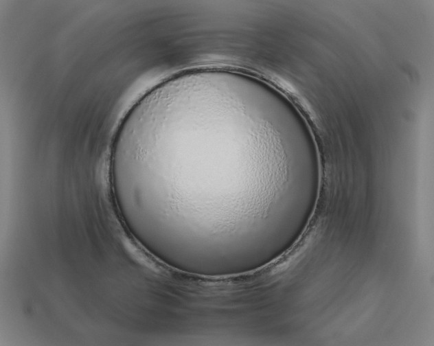 X0000113371421200910061051