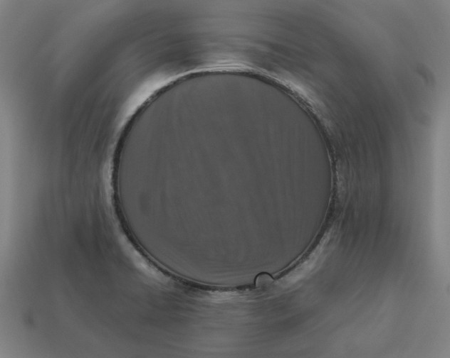 X0000113371422200910061051