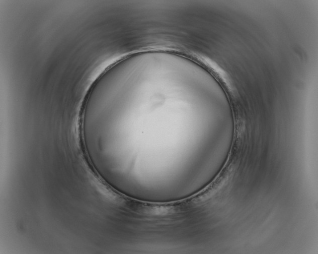 X0000113371423200910061051