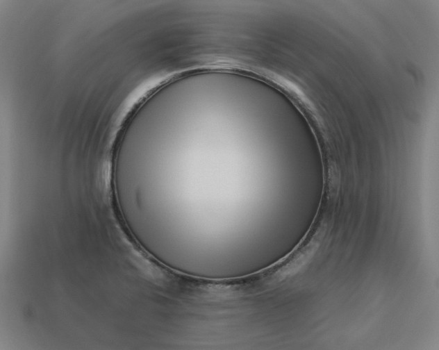 X0000113371424200910061051