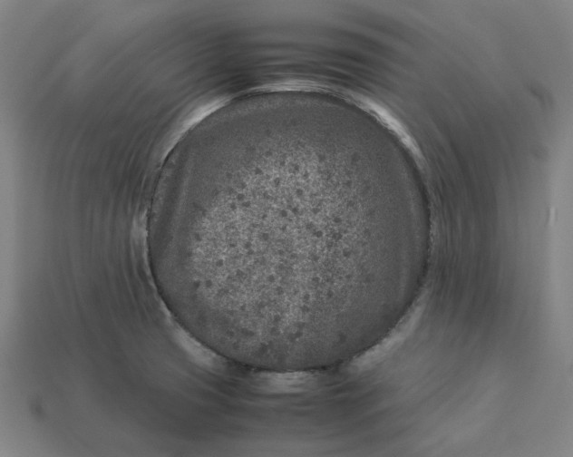 X0000113371425200910061051