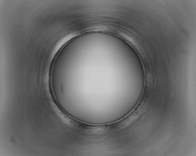 X0000113371426200910061051