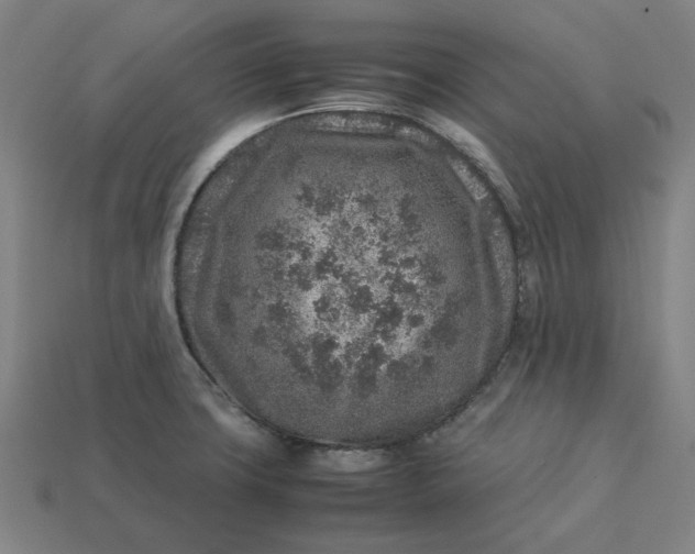 X0000113371427200910061051