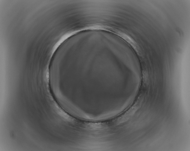 X0000113371428200910061051