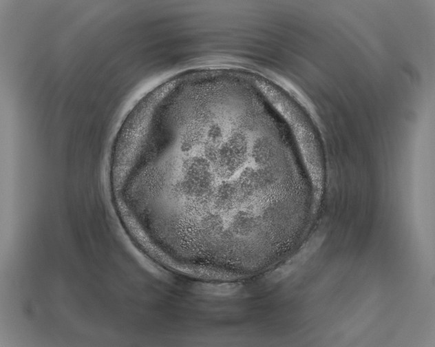 X0000113371429200910061051