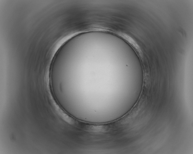 X0000113371431200910061051