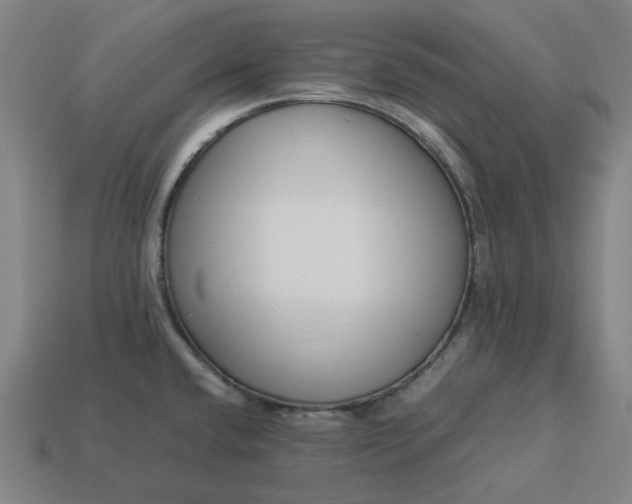 X0000113371432200910061051