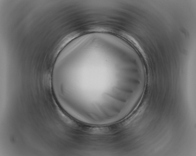 X0000113371433200910061051