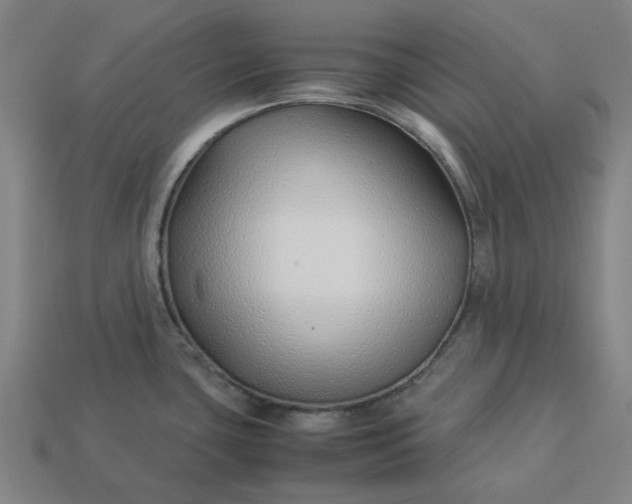 X0000113371435200910061051