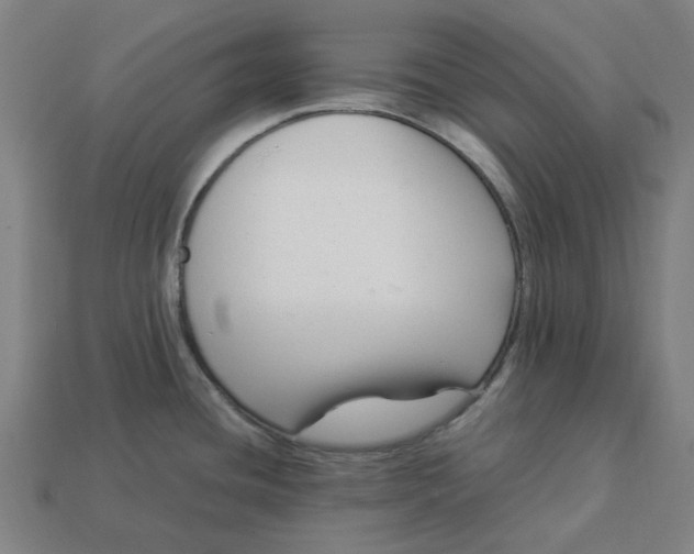 X0000113371436200910061051