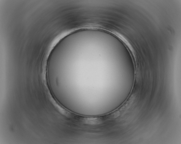 X0000113371437200910061051