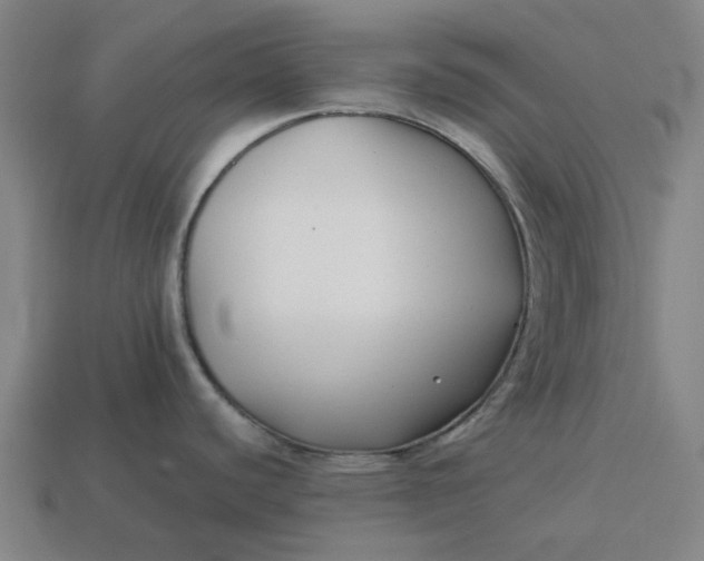 X0000113371440200910061051