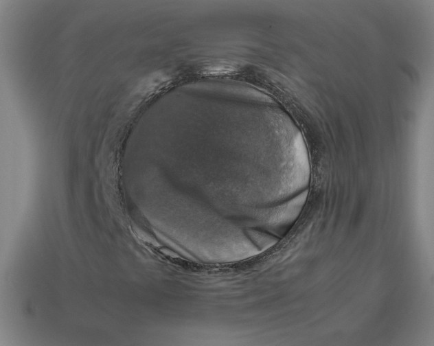 X0000113371441200910061051