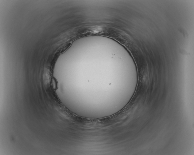 X0000113371442200910061051