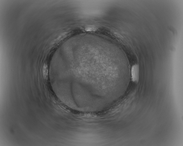 X0000113371443200910061051