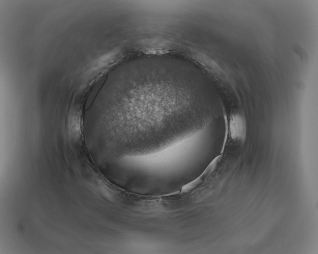 X0000113371444200910061051