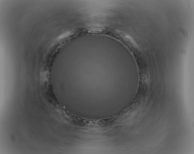 X0000113371445200910061051