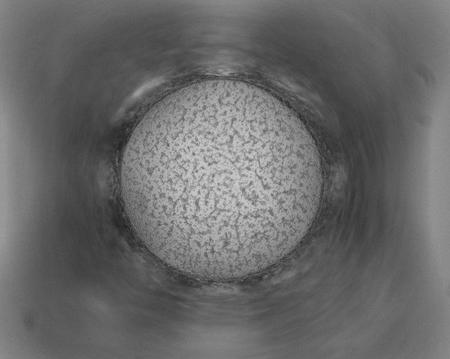 X0000113371446200910061051