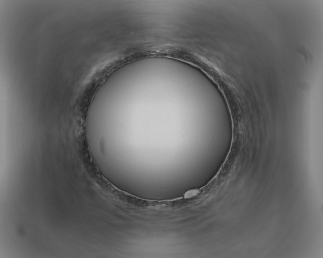 X0000113371447200910061051