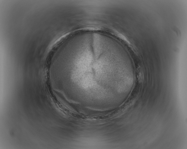 X0000113371448200910061051