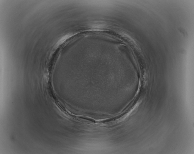 X0000113371449200910061051