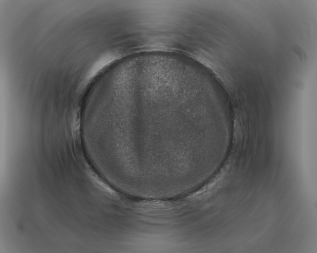 X0000113371450200910061051