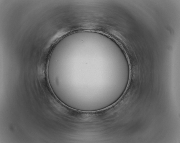 X0000113371451200910061051