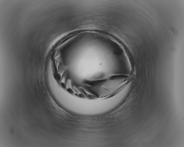 X0000113371452200910061051