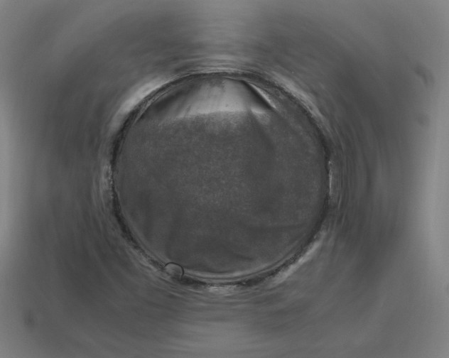 X0000113371453200910061051