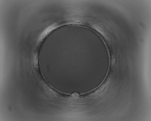 X0000113371455200910061051