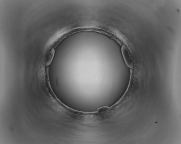 X0000113371456200910061050