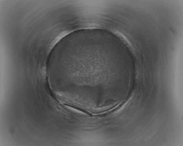 X0000113371457200910061050