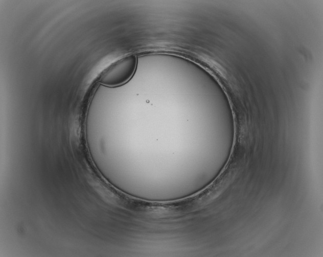 X0000113371458200910061050