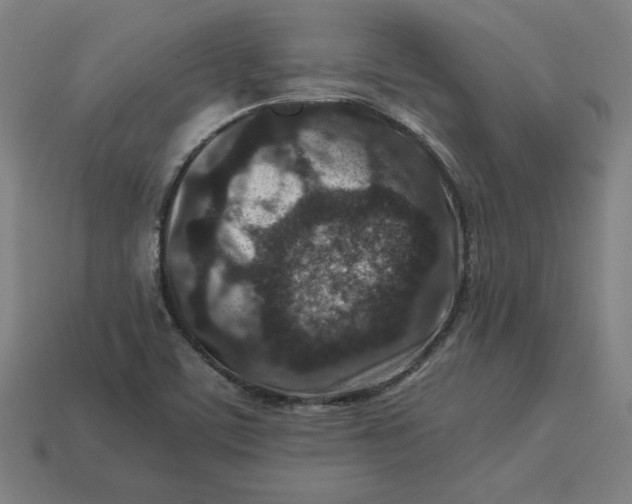 X0000113371459200910061050