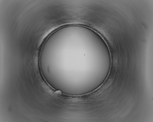 X0000113371460200910061050