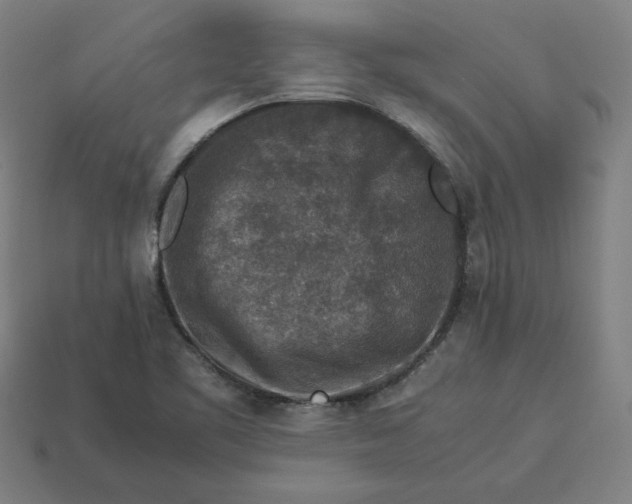 X0000113371461200910061050