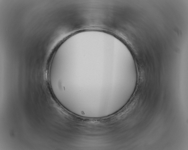 X0000113371462200910061050