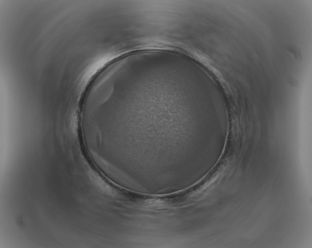 X0000113371463200910061050