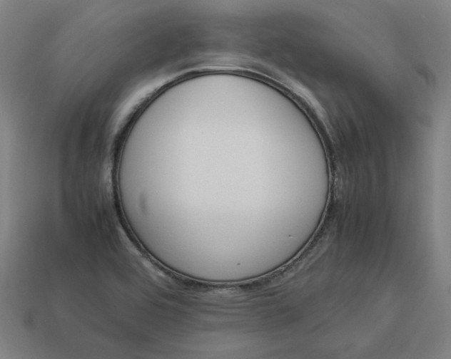 X0000113371464200910061050